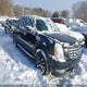 3GYFK22279G250191 2009 Cadillac Escalade Ext auction photo thumbnail 1