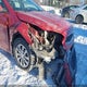 3KPF24AD8KE051446 2019 Kia Forte Lx auction photo thumbnail 6