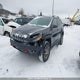 1C4PJMBS5HW561028 2017 Jeep Cherokee Trailhawk auction photo thumbnail 2