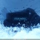 JF2SLDRC2SH554702 2025 Subaru Forester Limited auction photo thumbnail 20