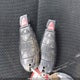 2C4RDGBG9CR103426 2012 Dodge Grand Caravan auction photo thumbnail 11