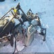 YH2SSG9A49R000517 2009 Skidoo auction photo thumbnail 10