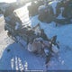 YH2SSG9A49R000517 2009 Skidoo auction photo thumbnail 1