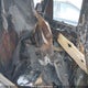 5NMSG3AB6AH365774 2010 Hyundai Santa Fe Gls auction photo thumbnail 8