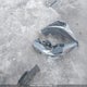 KMHLN4AJ2PU071471 2023 Hyundai Elantra Hybrid Luxury auction photo thumbnail 12