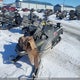 YH2SSMHC2HR000340 2017 Skidoo auction photo thumbnail 2