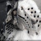 2BPSUAAA1AV000145 2010 Skidoo auction photo thumbnail 6