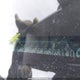 5FNYF8H26KB503140 2019 Honda Passport Sport auction photo thumbnail 19