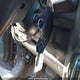 5FNYF4H96CB502030 2012 Honda Pilot Touring auction photo thumbnail 11