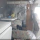 1FDGS24H8JHB80721 1988 Ford Econoline E250 Super Duty Van auction photo thumbnail 8