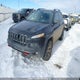 1C4PJMBS3GW308241 2016 Jeep Cherokee Trailhawk auction photo thumbnail 2