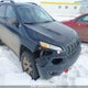 1C4PJMBS3GW308241 2016 Jeep Cherokee Trailhawk auction photo thumbnail 6