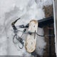 5DJTB0U2895203424 2009 Damon Breckenridge auction photo thumbnail 10