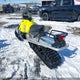 2BPSGDLA5LV000044 2020 Skidoo Tundra auction photo thumbnail 3