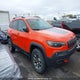 1C4PJMBX4MD172091 2021 Jeep Cherokee Trailhawk auction photo thumbnail 13