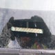 1HGCM56444A810192 2004 Honda Accord Lx auction photo thumbnail 18