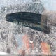 KNDJN2A24J7511981 2018 Kia Soul Lx auction photo thumbnail 19