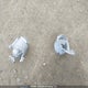 5XYPGDA3XGG063010 2016 Kia Sorento 2.4L Lx auction photo thumbnail 12
