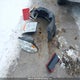 1D7RV1GTXAS107244 2010 Dodge Ram 1500 Laramie auction photo thumbnail 12