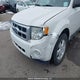 1FMCU9DG3BKB41712 2011 Ford Escape Xlt auction photo thumbnail 6