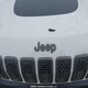 1C4PJMBX7LD558096 2020 Jeep Cherokee Trailhawk auction photo thumbnail 10