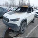 1C4PJMBX7LD558096 2020 Jeep Cherokee Trailhawk auction photo thumbnail 2
