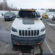 1C4PJMBX7LD558096 2020 Jeep Cherokee Trailhawk auction photo thumbnail 6