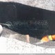 5NPDH4AE3FH646608 2015 Hyundai Elantra Se/Sport/Limited auction photo thumbnail 20