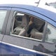 1G1RA6E42DU105312 2013 Chevrolet Volt auction photo thumbnail 20