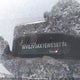 WVGJV3AX1EW538774 2014 Volkswagen Tiguan Comfortline/Highline/Trendline auction photo thumbnail 9