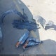 2T1BURHE4KC165009 2019 Toyota Corolla Le auction photo thumbnail 12