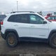 1C4PJMBS2FW736106 2015 Jeep Cherokee Trailhawk auction photo thumbnail 13
