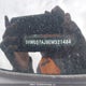 3VWL07AJ9EM321484 2014 Volkswagen Jetta auction photo thumbnail 19