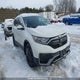 2HKRW2H29LH219148 2020 Honda Cr-V Lx auction photo thumbnail 1