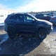 1C4PJMBS2GW223133 2016 Jeep Cherokee Trailhawk auction photo thumbnail 13