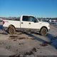 1FTFW1EV0AFB72238 2010 Ford F-150 Fx4/Harley-Davidson/Lariat/Xlt auction photo thumbnail 13