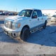 1FTFW1EV0AFB72238 2010 Ford F-150 Fx4/Harley-Davidson/Lariat/Xlt auction photo thumbnail 2