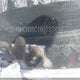 KMHCN35C19U133497 2009 Hyundai Accent auction photo thumbnail 19