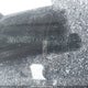3MVDMBDYXRM672030 2024 Mazda Cx-30 Premium auction photo thumbnail 19