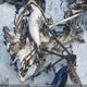 2BPSUTDD9DV000027 2013 Skidoo auction photo thumbnail 11