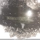 3MZBM1V70GM257155 2016 Mazda Mazda3 Gs auction photo thumbnail 9