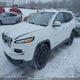 1C4PJMCS0GW365947 2016 Jeep Cherokee North auction photo thumbnail 2
