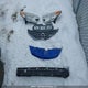 3N1CE2CP3GL353058 2016 Nissan Versa Note 1.6 S/1.6 Sl/1.6 Sr/1.6 Sv auction photo thumbnail 12