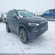1C4PJMBX4KD178003 2019 Jeep Cherokee Trailhawk auction photo thumbnail 1
