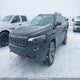 1C4PJMBX4KD178003 2019 Jeep Cherokee Trailhawk auction photo thumbnail 2