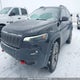 1C4PJMBX4KD178003 2019 Jeep Cherokee Trailhawk auction photo thumbnail 6