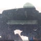 5TEUX42N29Z637790 2009 Toyota Tacoma Access Cab auction photo thumbnail 19