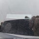 3KPFL4A83HE035521 2017 Kia Forte Ex auction photo thumbnail 18