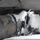 1FTRW08L93KA83635 2003 Ford F-150 Lariat/Xlt auction photo thumbnail 10