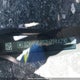 1GYKNERS7HZ244290 2017 Cadillac Xt5 Premium Luxury auction photo thumbnail 20